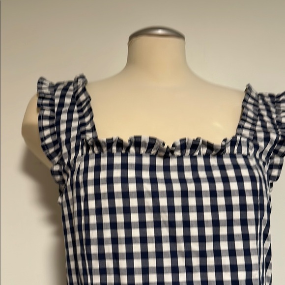 Gingham Ruffle Sleeve Top - Blue and White - Picture 2 of 11